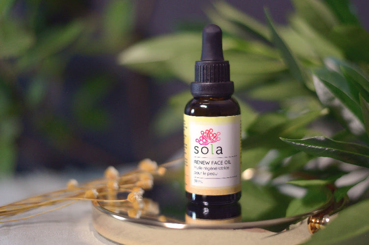 Renew Face Oil Wholesale